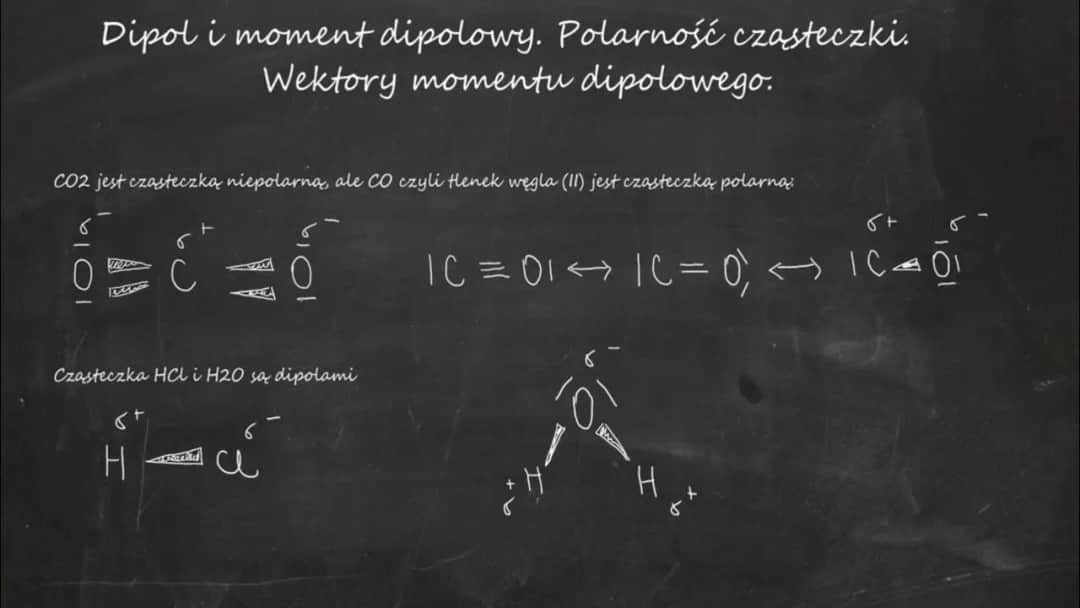 Co to jest wektor w biologii? Klucz do inżynierii genetycznej