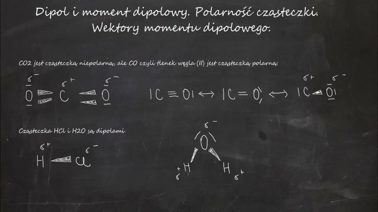 Co to jest wektor w biologii? Klucz do inżynierii genetycznej