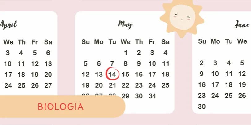 Co zawsze jest na maturze z biologii? Kluczowe tematy i pytania