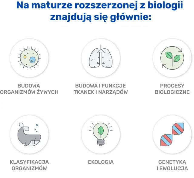 Ile punktów na maturze z biologii? Kluczowe informacje i porady