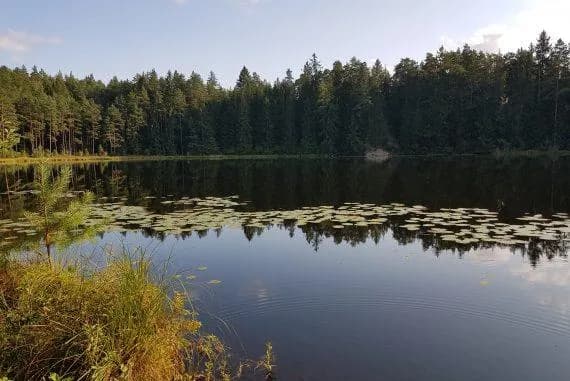 Zaimki przymiotne wskazujące w języku francuskim – jak je stosować?