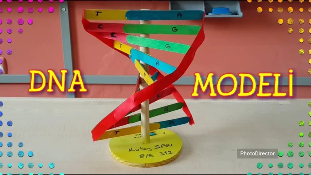 Jak zrobić DNA na biologie - proste kroki do udanego modelu