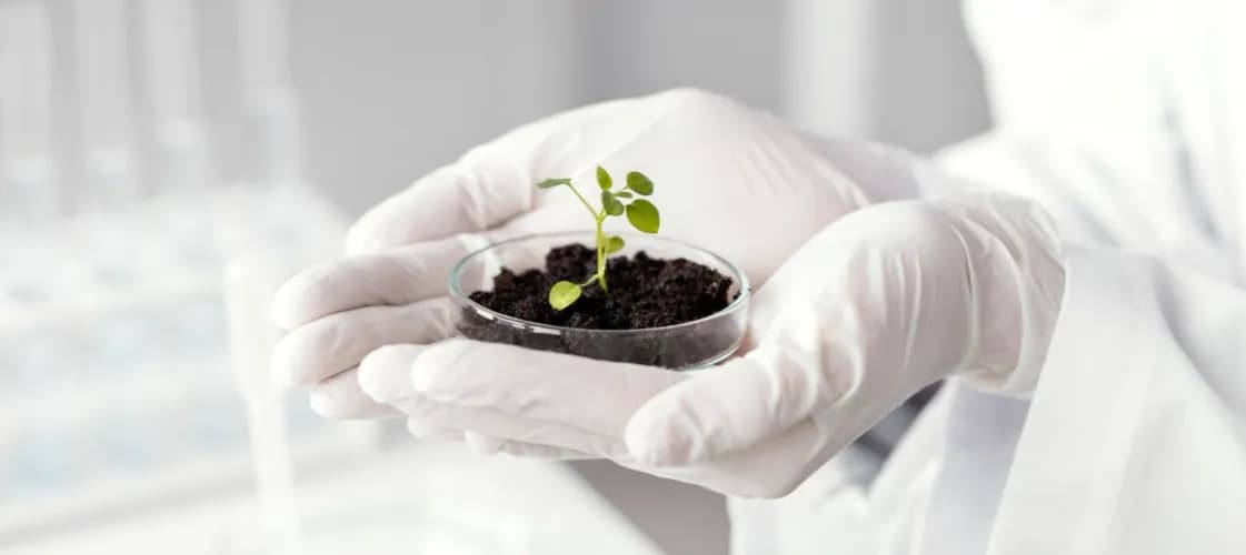 Jakie studia po maturze z biologii? Odkryj najlepsze kierunki i zawody