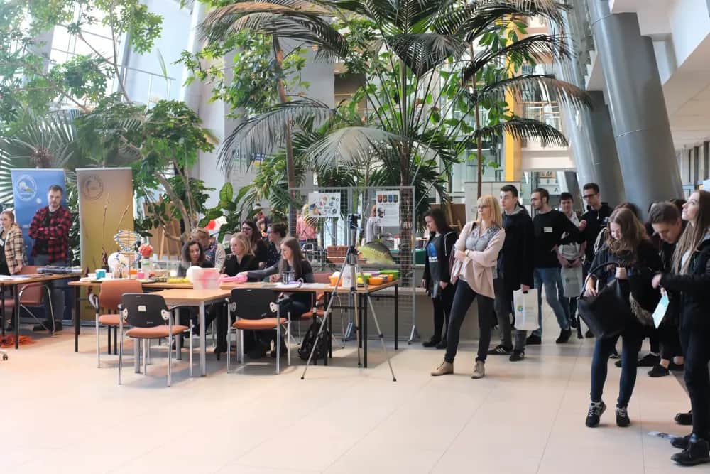 Jakie są dziedziny biologii? Poznaj główne nauki biologiczne i ich zastosowania