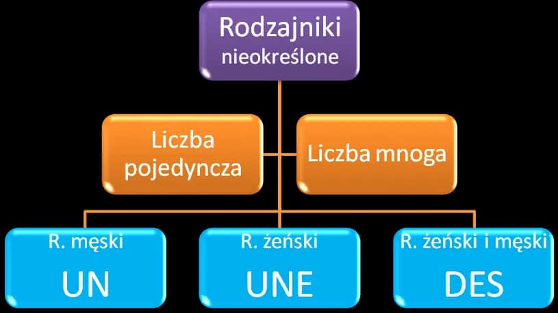 Rodzajniki nieokreślone francuski – jak ich używać i unikać błędów