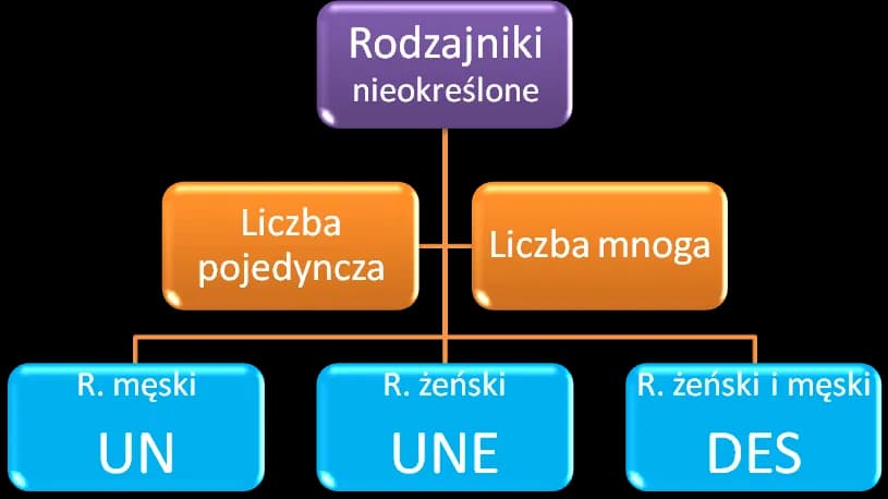 Rodzajniki nieokreślone francuski – jak ich używać i unikać błędów