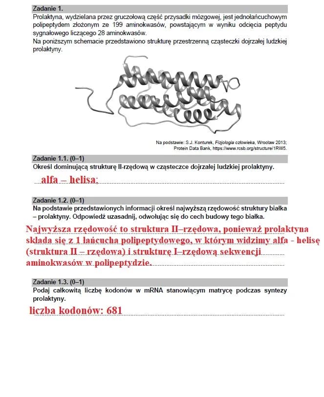 Co po rozszerzonej biologii? Kierunki studiów i zawody, które warto rozważyć