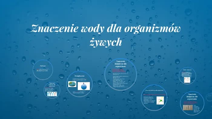 Znaczenie wody dla organizmów żywych – dlaczego jest niezbędna do życia?