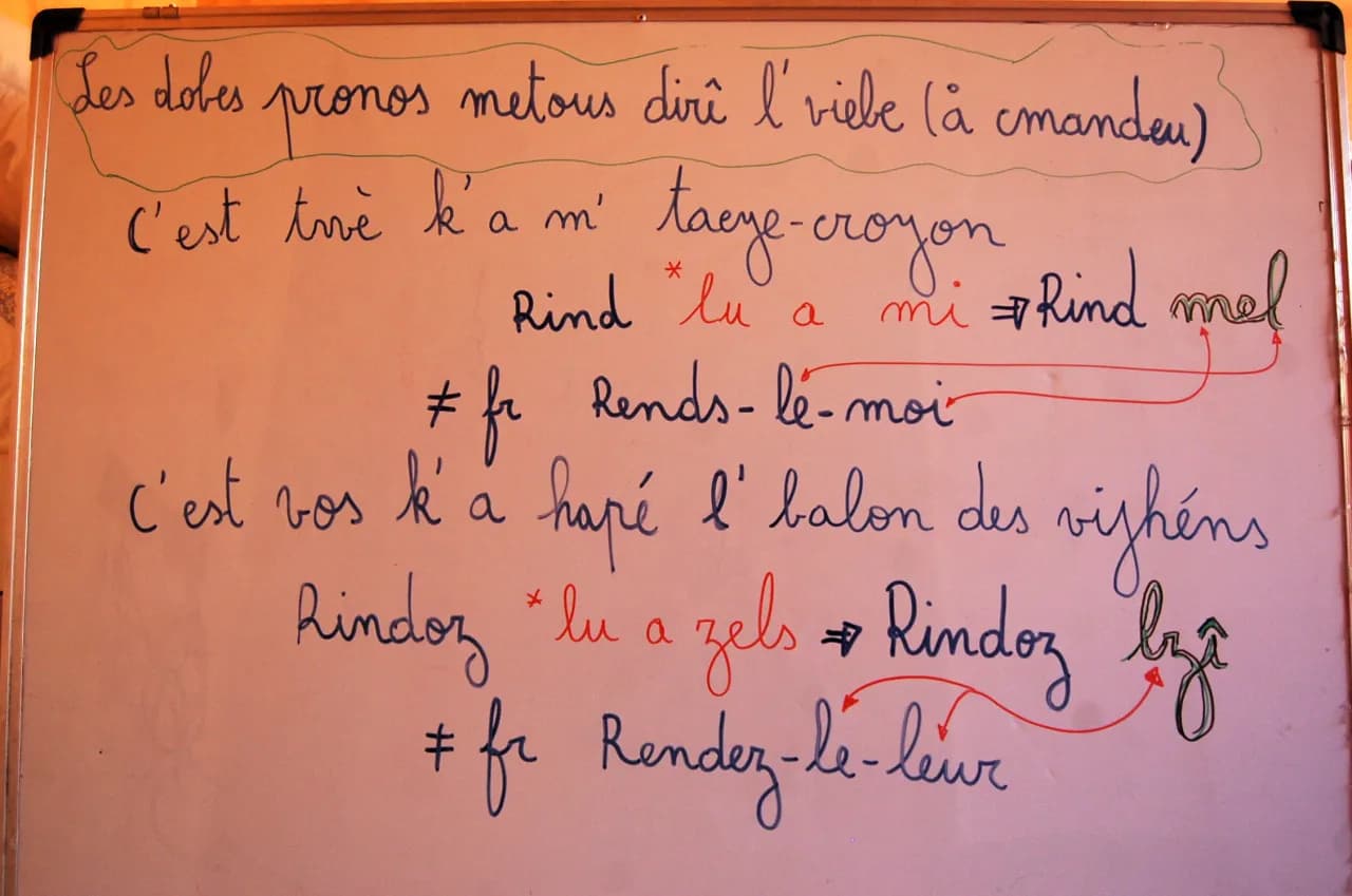 Gramatyka francuskiego: Kluczowe zasady i najczęstsze błędy
