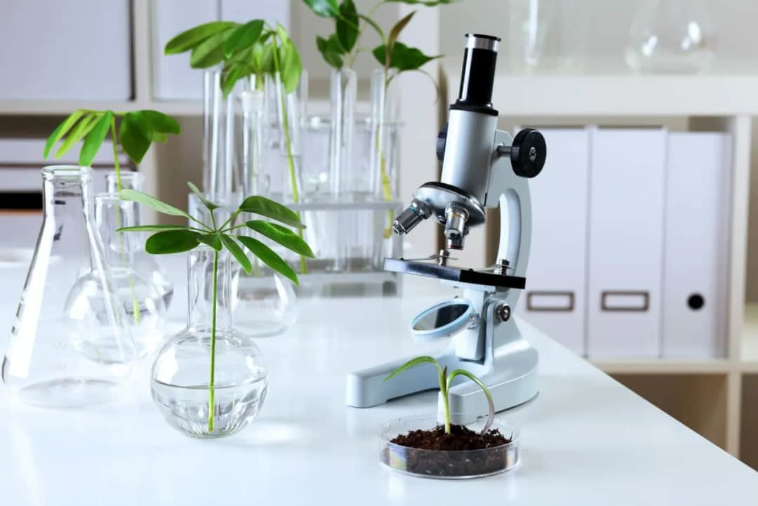 Biologia sądowa czy warto? Odkryj korzyści i możliwości kariery