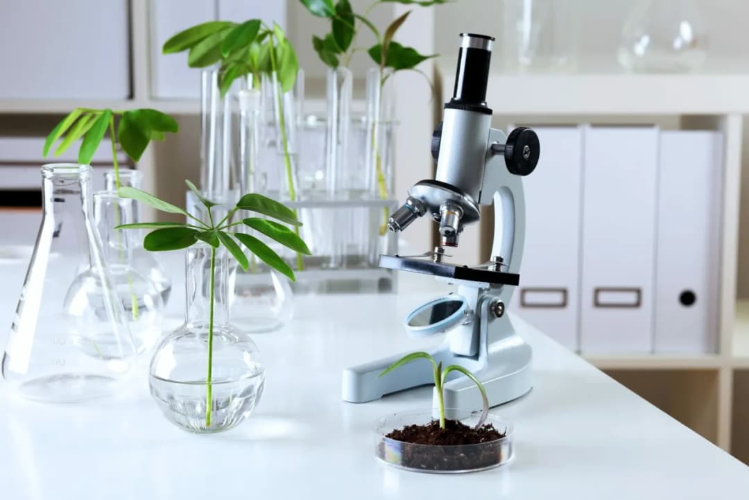 Biologia sądowa czy warto? Odkryj korzyści i możliwości kariery